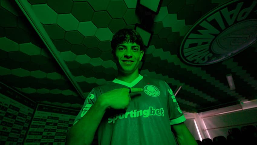  (Foto: Reprodução TV Palmeiras)