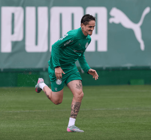 (Foto: Cesar Greco/Palmeiras/by Canon)
