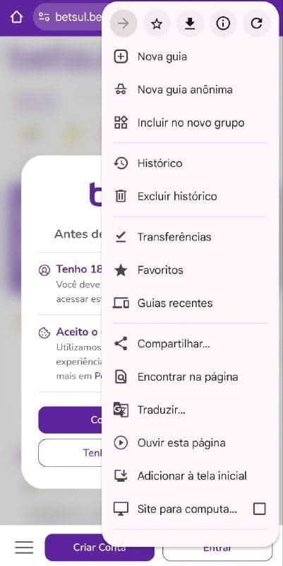 Pop-up do Chrome confirmando a criação do atalho da Betsul