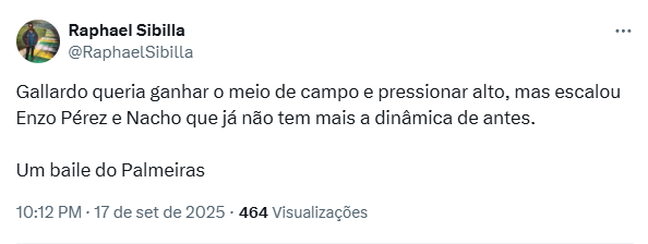 Análise de torcedor em River Plate x Palmeiras (Foto: Reprodução)