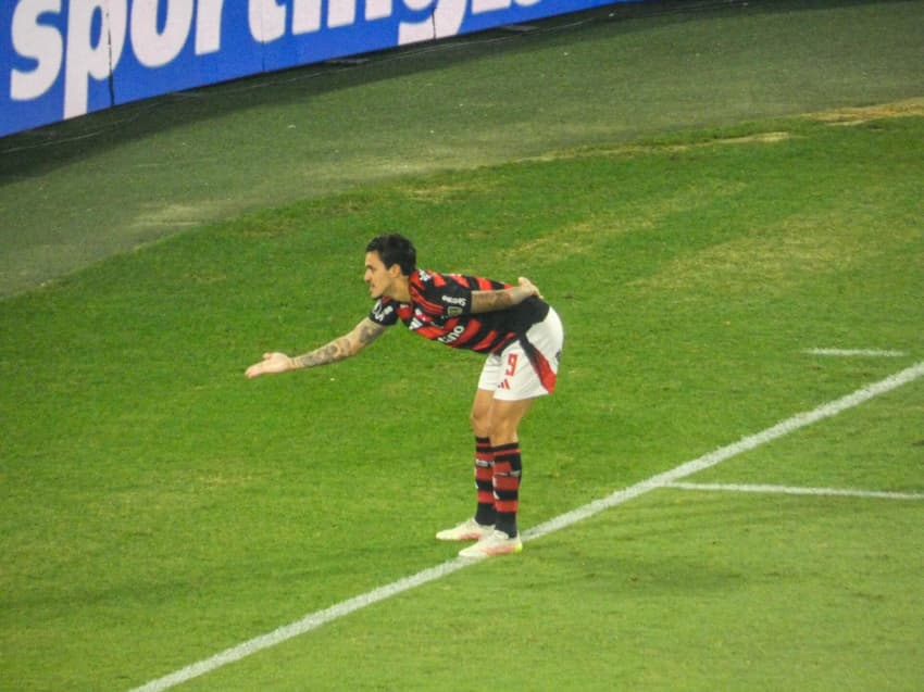 Pedro comemora gol no jogo do Flamengo contra o Estudiantes pela Libertadores