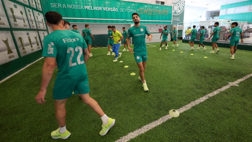 (Foto: Cesar Greco/Palmeiras/by Canon)