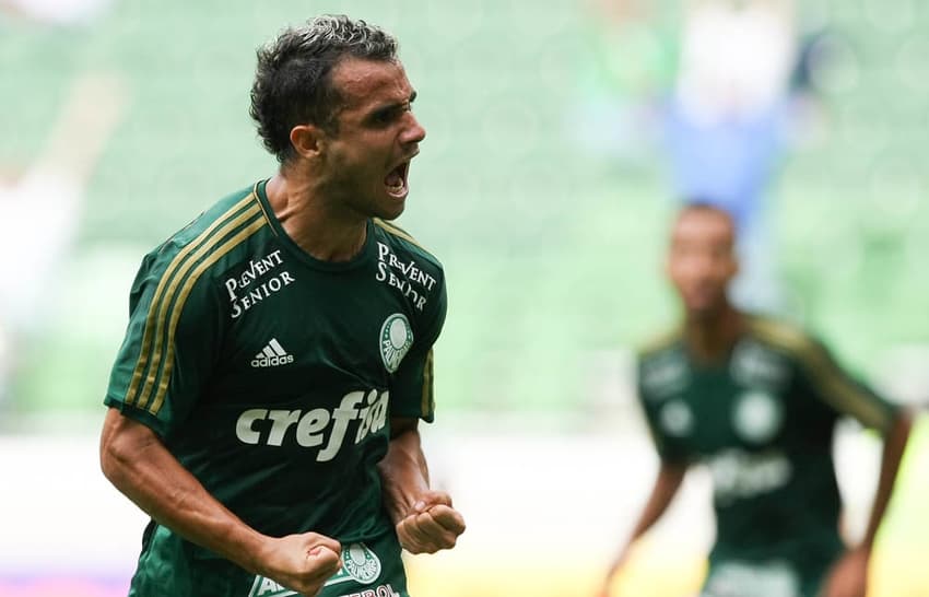 Maikon Leite venceu a Copa do Brasil com o Palmeiras (Foto: Cesar Greco / Fotoarena)