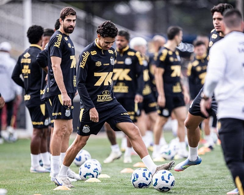 Gabriel Bontempo tem dois gols pelo elenco profissional do Santos. (Foto: Raul Baretta/ Santos FC)