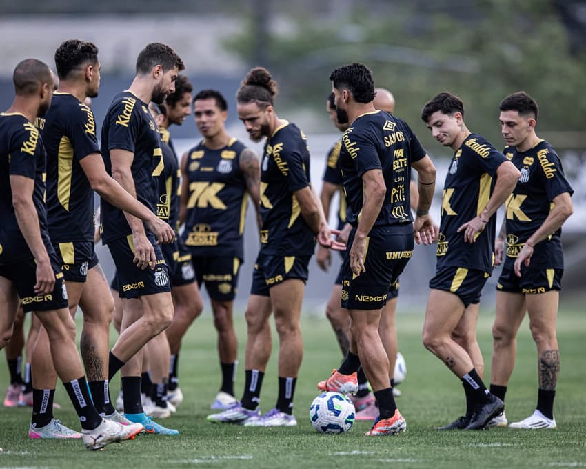 Santos tem cinco pendurados relacionados para o confronto contra o Ceará (Foto: Raul Baretta/ Santos FC)