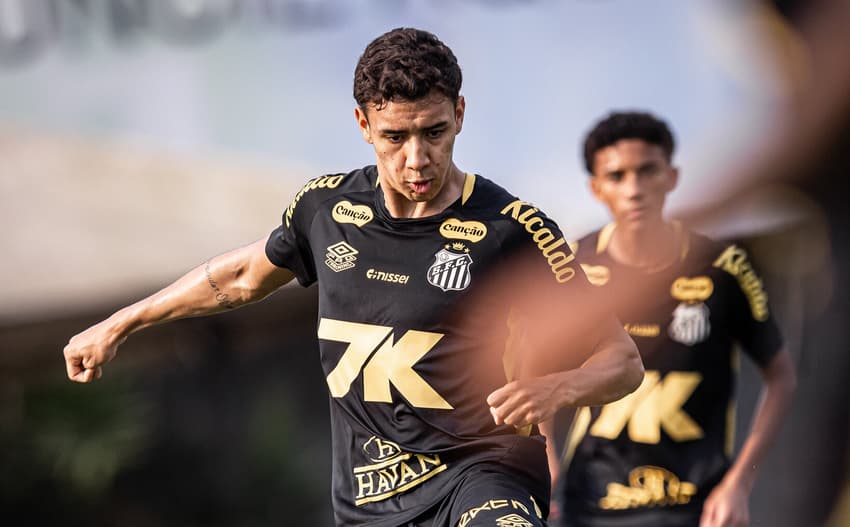 Bontempo voltou a ser relacionado no Santos (Foto: Raul Baretta/ Santos FC) 