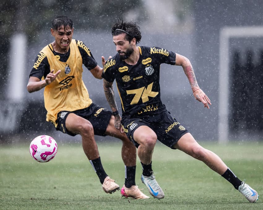 Santos busca se afastar das últimas colocações (Foto: Raul Baretta/ Santos FC)