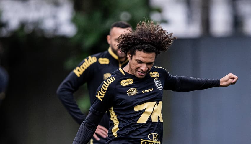 Willian Arão é opção para o meio-campo (Foto: Raul Baretta/ Santos FC)