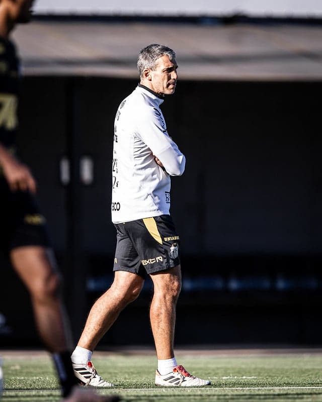 Vojvoda busca a terceira vitória no comando do Santos., (Foto: Raul Baretta/ Santos FC)