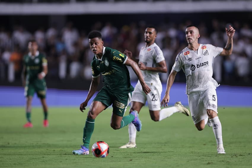 O Santos e o Palmeiras jogaram pelo Paulistão, na Vila Belmiro. (Foto: Ettore Chiereguini/AGIF)