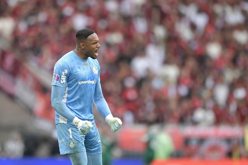 Carlos Miguel durante partida entre Palmeiras e Flamengo, no Maracanã, pelo Brasileirão (Foto: Thiago Ribeiro/AGIF)