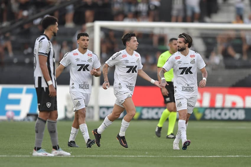 Santos comemora gol diante do Botafogo, no Nilton Santos. (Foto:  Thiago Ribeiro/AGIF)