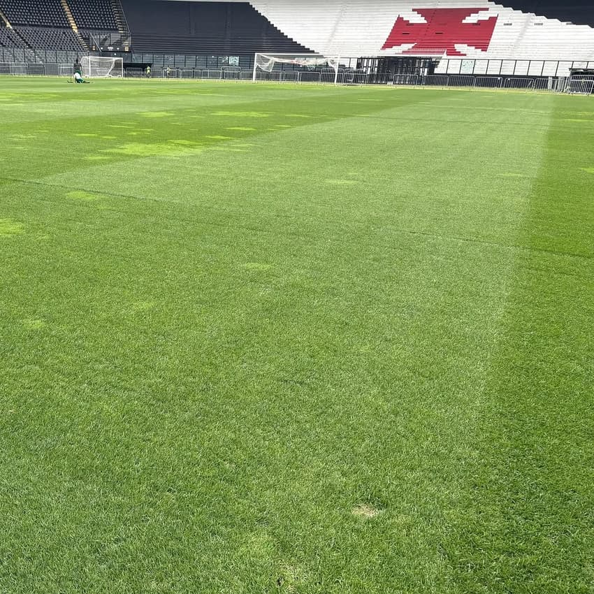 Gramado de São Januário