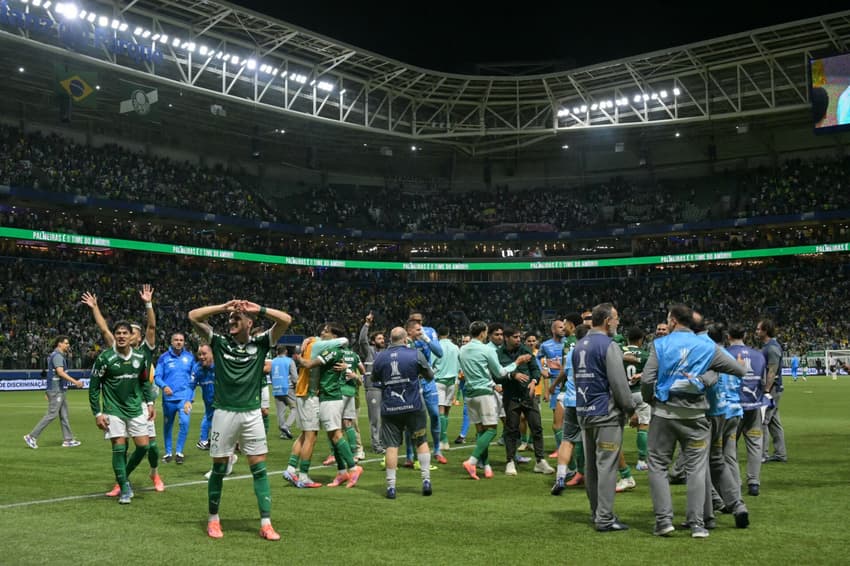 Palmeiras eliminou a LDU e está na final da Copa Libertadores (Foto: Nelson ALMEIDA / AFP)