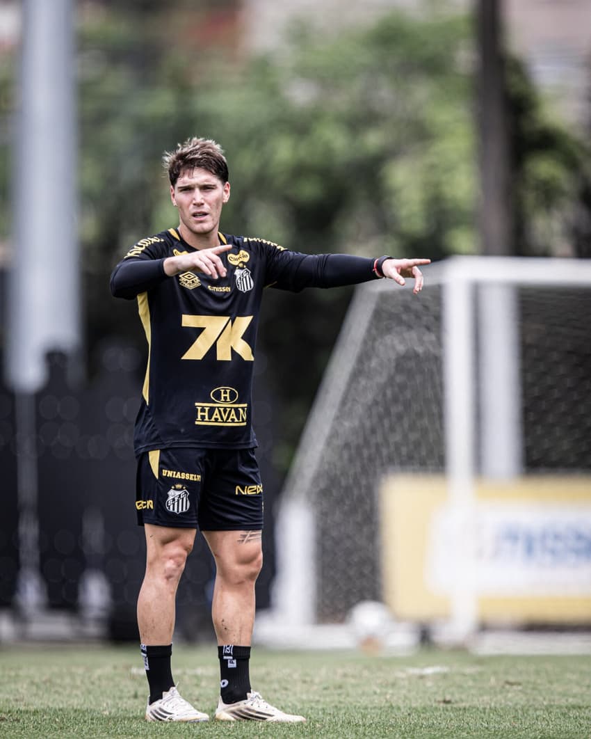 Rollheiser acumula 28 jogos com a camisa do Santos nesta temporada. (Foto: Marcello Zambrana/AGIF)