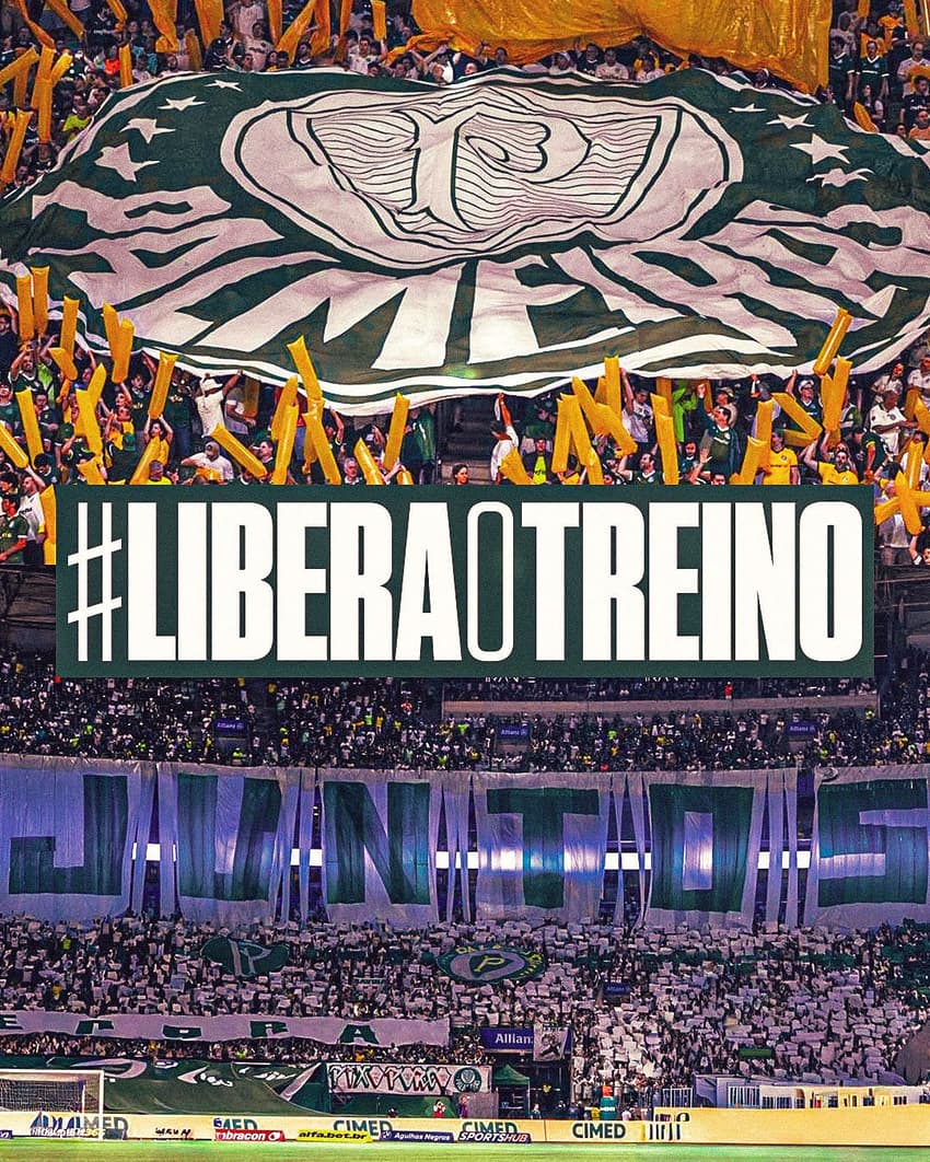 Torcida do Palmeiras pede abertura do treino antes de duelo contra a LDU, pelo jogo de volta da semifinal da Libertadores (Foto: Reprodução)