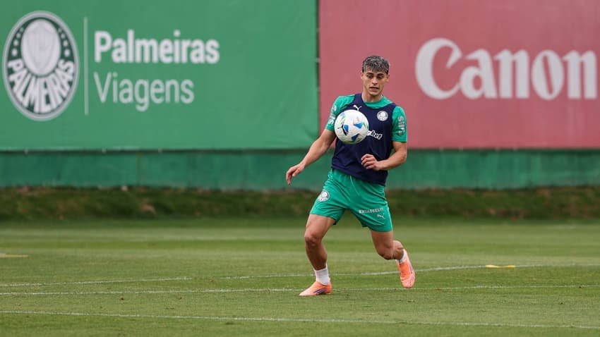Ramón Sosa, Palmeiras, antes da Libertadores