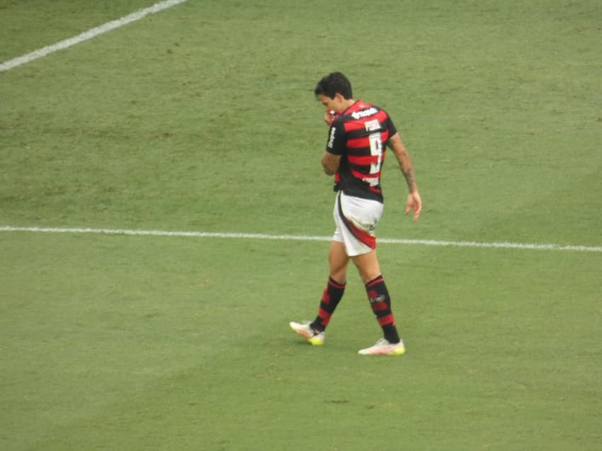 Pedro comemora gol do Flamengo contra o Palmeiras (Foto: Lucas Bayer/Lance!)