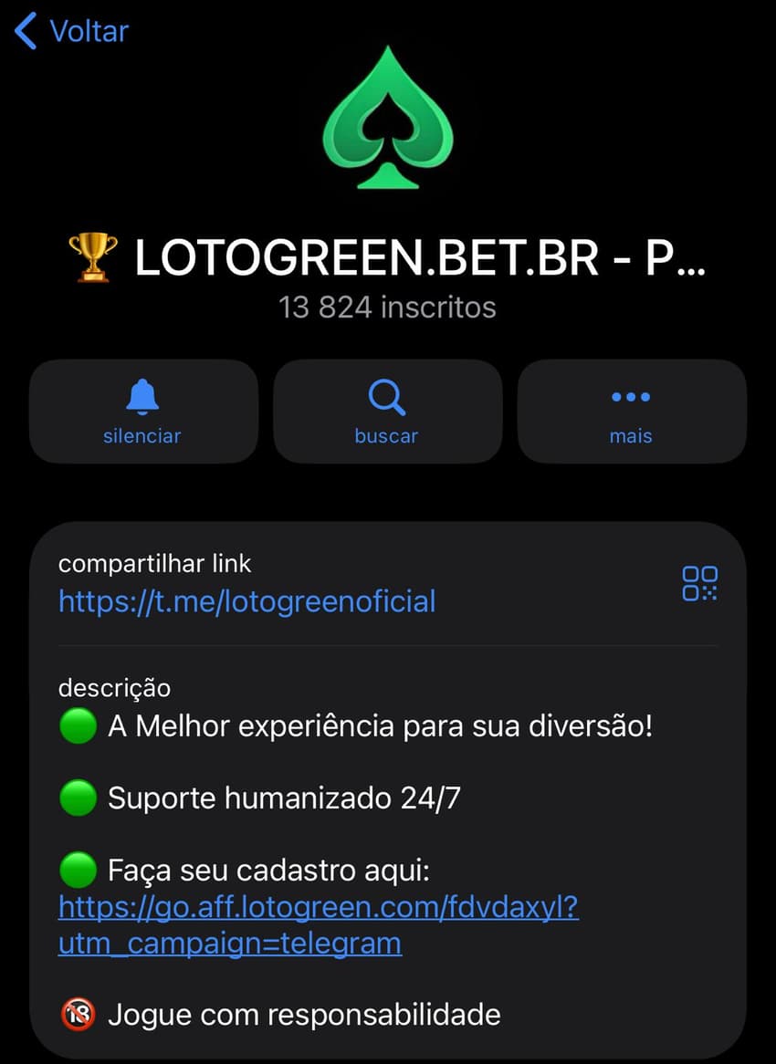 Captura de tela do grupo da Lotogreen no Telegram.