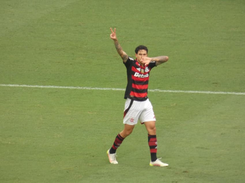 Pedro comemora gol do Flamengo contra o Palmeiras (Foto: Lucas Bayer/Lance!)