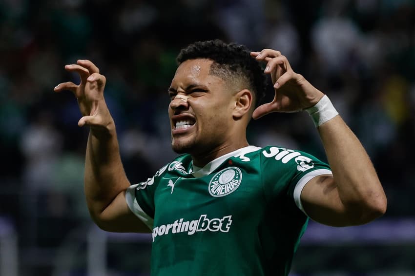 Vitor Roque, do Palmeiras, comemora gol contra o Santos (Foto: Adriana Spaccasassi Bianchi/MOCHILA PRESS)