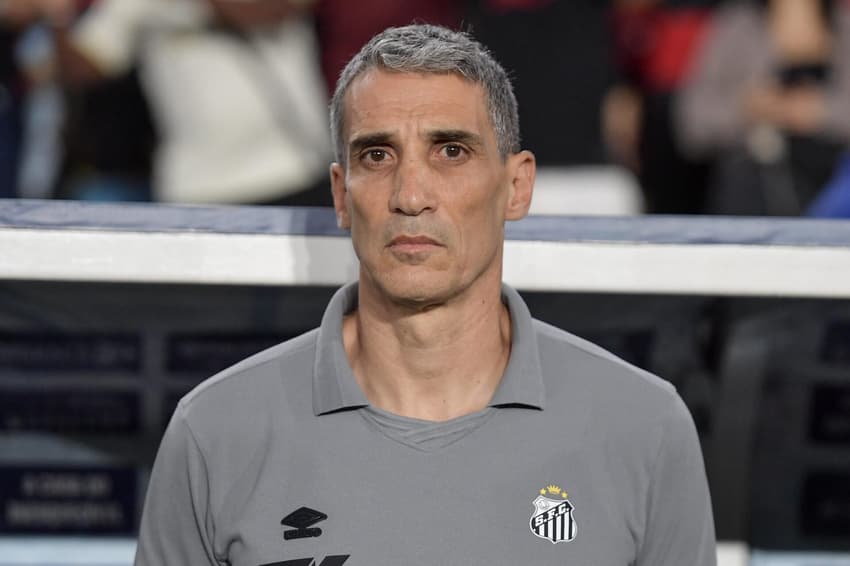 Santos encara o Palmeira s na próxima rodada do Brasileirão. (Foto: Thiago Ribeiro/ Agif/Gazeta Press)