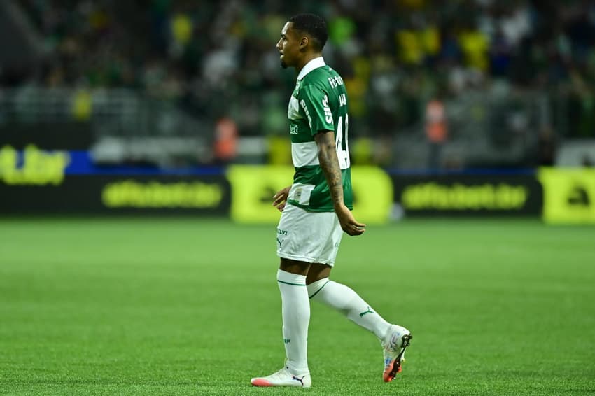 Allan em ação pelo Palmeiras no Brasileirão (Foto: Eduardo Carmim/Photo Premium/Gazeta Press)