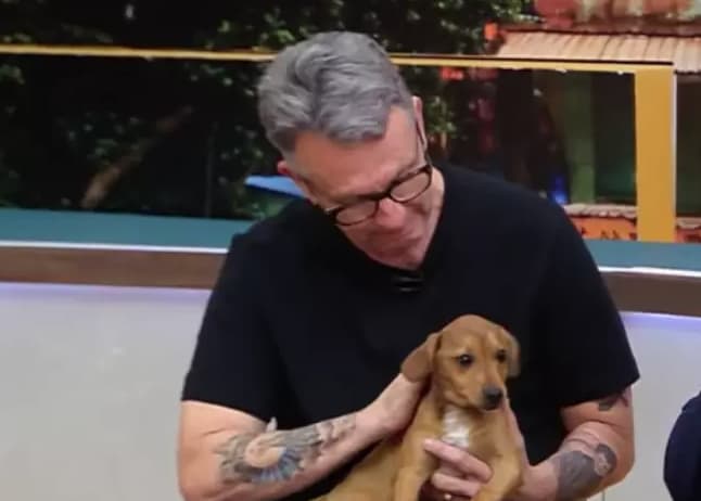 Craque Neto leva seu cachorro Ferreirinha ao programa Donos da Bola