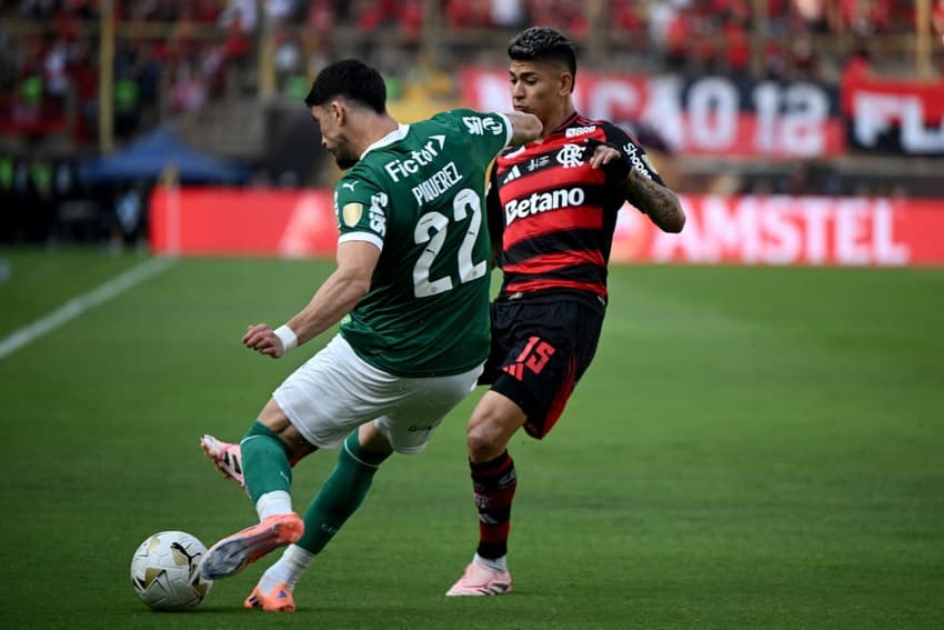 Elamengo e Palmeiras disputaram a final da Libertadores em 2025 (Foto: Ernesto BENAVIDES / AFP)