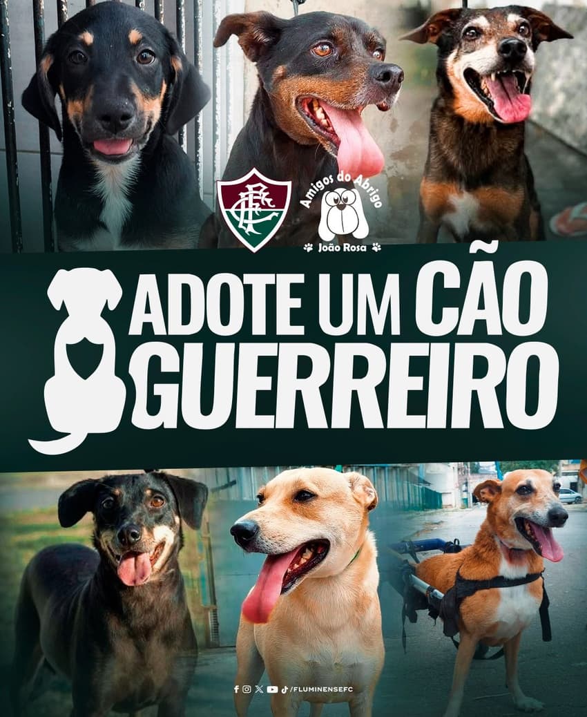 Fluminense promove ação de adoção de animais contra o São Paulo