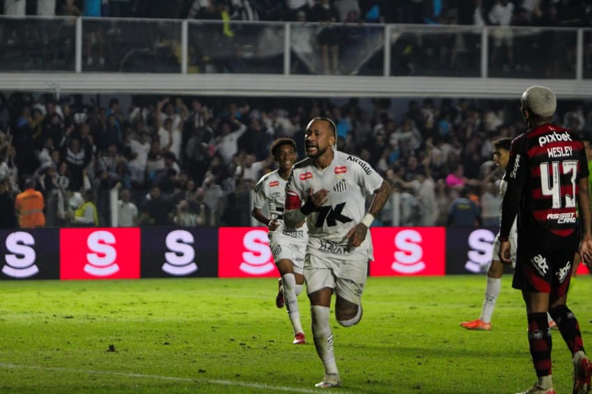 No primeiro turno, Santos venceu o Flamengo com gol de Neymar na Vila Belmiro (Foto: Raphael Campos Do Prado / Mochila Press)