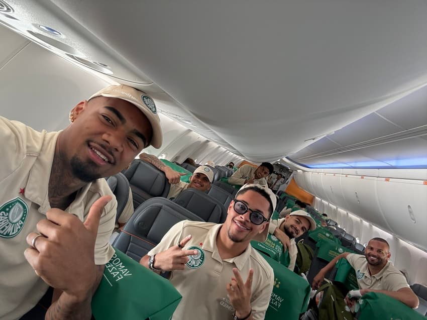 Weverton com tala na mão (Foto: Divulgação/ Palmeiras)