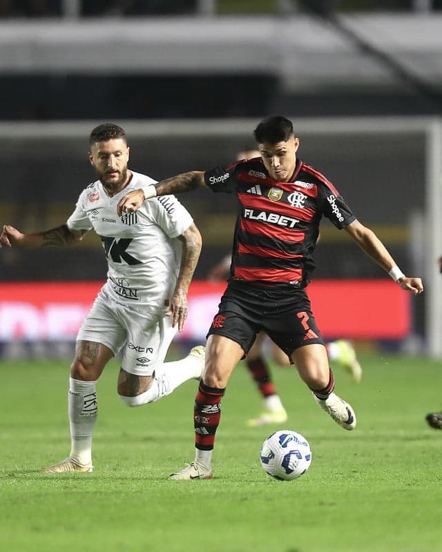 Santos e Flamengo em confronto pelo primeiro turno do Brasileirão (Foto: Gilvan de Souza/Flamengo)