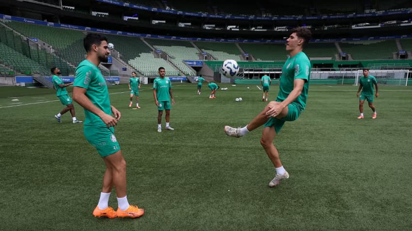 (Foto: Cesar Greco/Palmeiras/by Canon)<br>