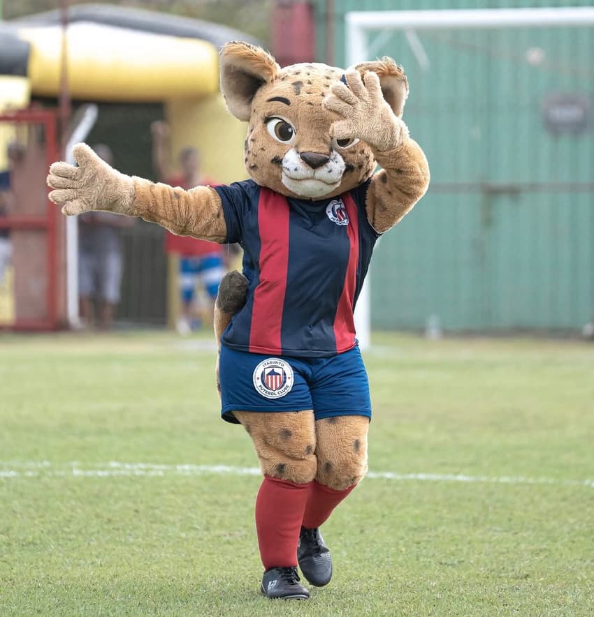 Gata do Mato, mascote do Itabirito. (Foto: Léo Rodrigues/Itabirito)