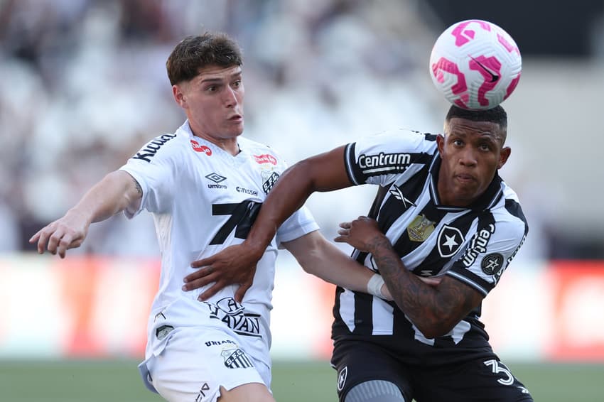 Botafogo Brasileirão Nilton Santos