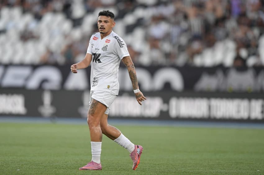 Tiquinho Soares acumula 42 jogos com a camisa do Santos nesta temporada. (Foto: Thiago Ribeiro/Agif/Gazeta Press)