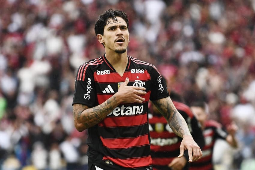 Pedro, do Flamengo, comemorando gol contra o Palmeiras (Foto: Alexandre DurÃ£o/ZIMEL PRESS)