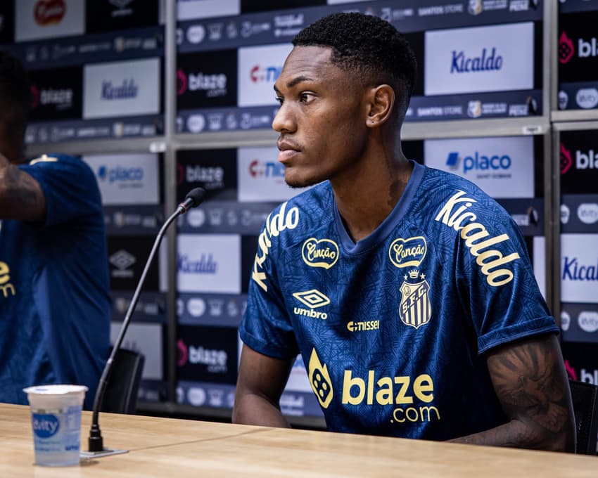 Luisão disputou nove jogos pelo Santos (Foto: Raul Baretta/ Santos FC)