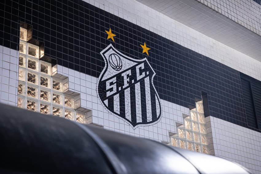 Santos passa por mudanças no elenco (Foto: Raul Baretta/ Santos FC)