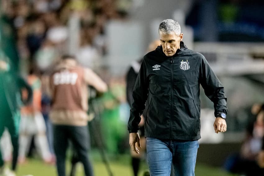 Vojvoda terá desfalques no Santos (Foto: Léo Piva/ Santos FC)