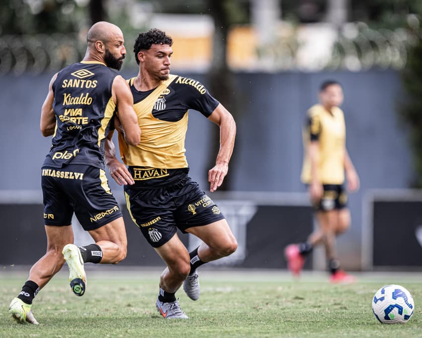 Santos trabalha de olho no Cruzeiro (Foto: Raul Baretta/ Santos FC)