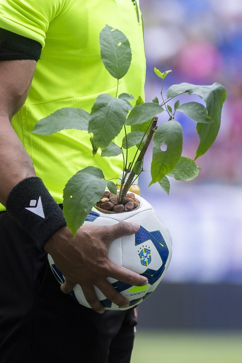 Bola do Brasileirão com uma muda nativa dentro, símbolo da ação de conscientização da última rodada