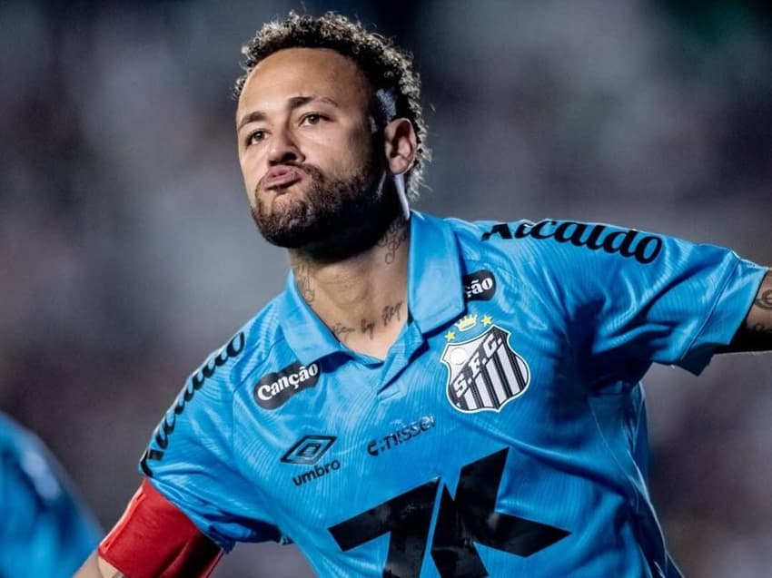 Neymar marcou 12 gols pelo Santos nesta temporada. (Foto: Divulgação/ Santos FC)