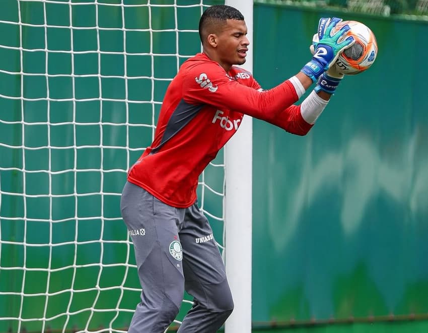 Palmeiras - Copinha - Aranha