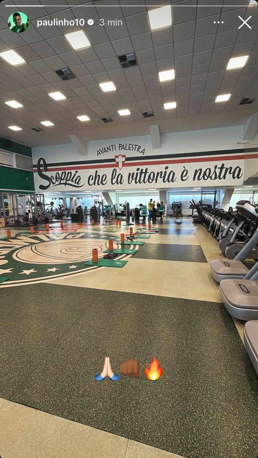 Paulinho - Palmeiras