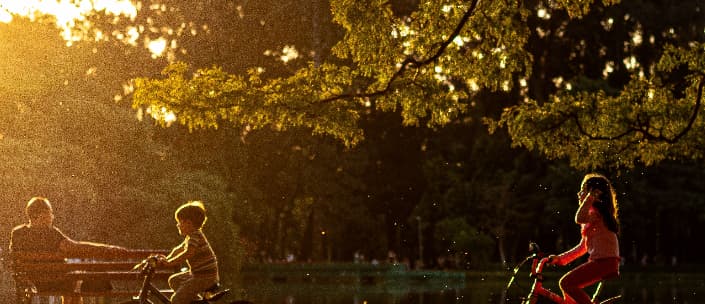 O Parque do Ibirapuera (Foto: Divulgação/Urbia Parques)