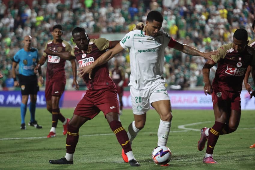 Portuguesa x Palmeiras pelo Campeonato Paulista (Foto: Luis Moura/Wpp/Gazeta Press)