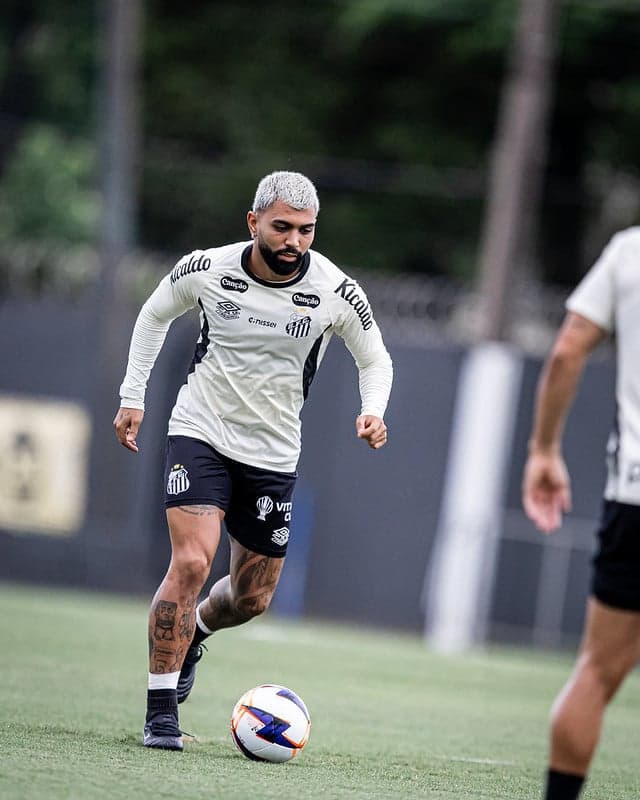 Gabriel Barbosa se recuperou de uma tendinite. (Foto: Raul Baretta/ Santos FC)