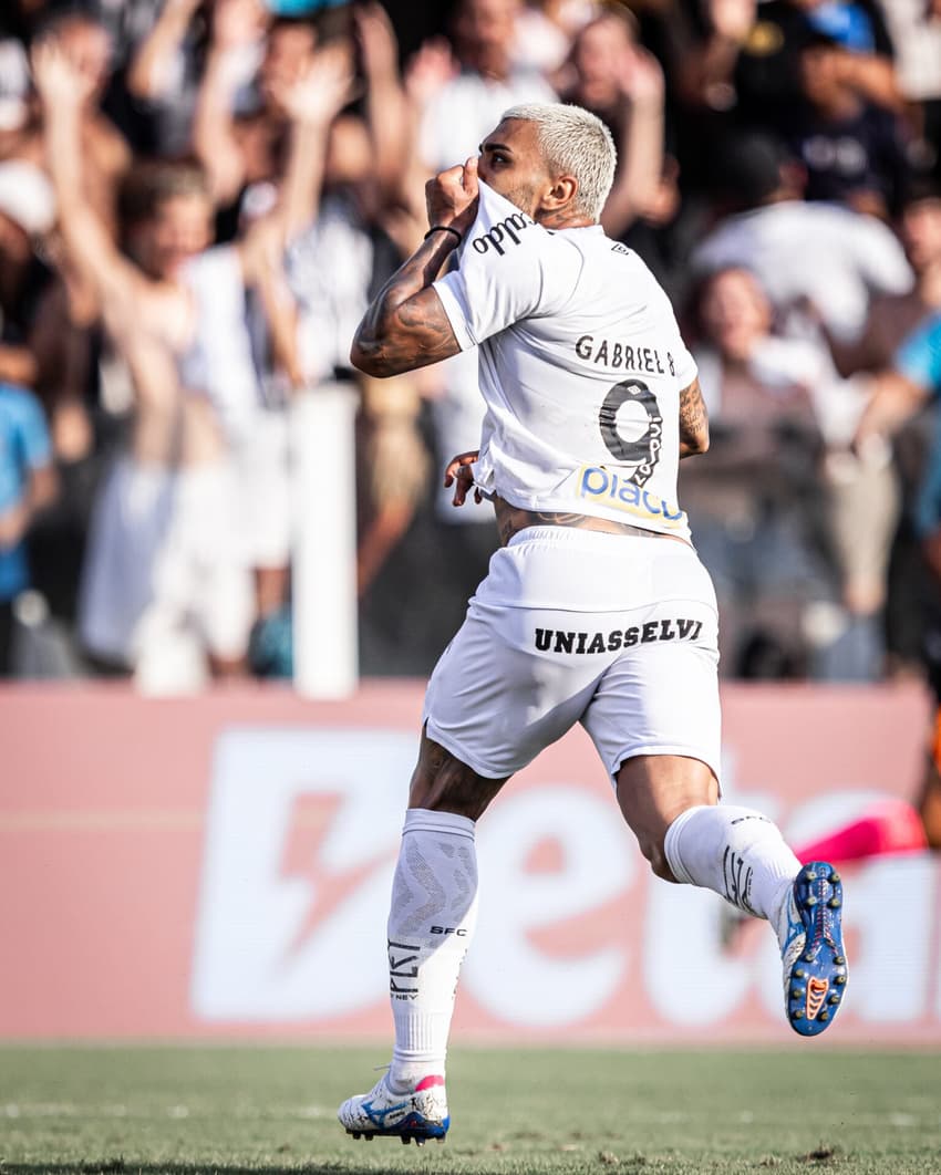 Gabigol celebra gol marcado na sua re-estreia pelo Santos (Foto: Raúl Baretta/Santos)